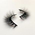 Lujain Al Bayat Lashes